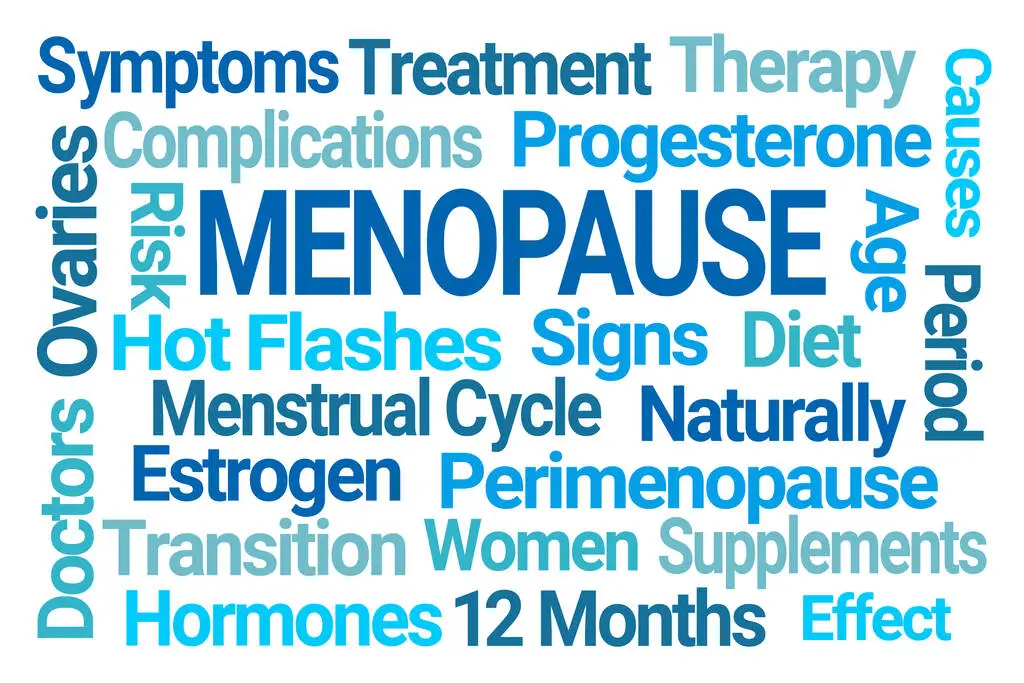 What Is Menopause
