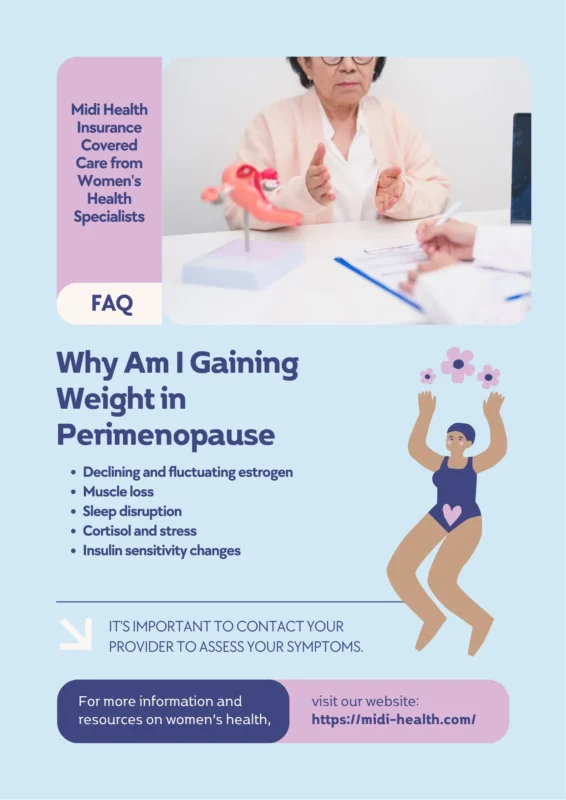 Why Am I Gaining Weight in Perimenopause Even Though I Haven’t Changed My Diet